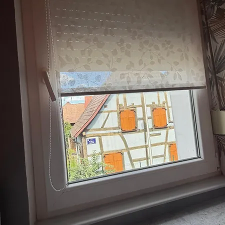 L Escale Alsacienne Apartament Marckolsheim