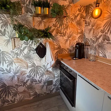 Apartament L Escale Alsacienne Marckolsheim